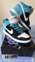 Dunk Hi Pro SB